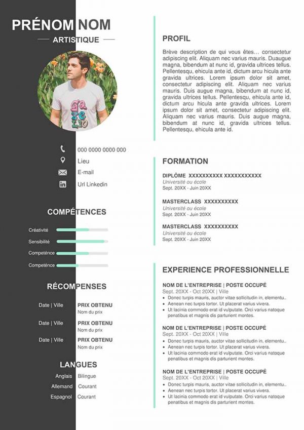 LE CURRICULUM VITAE ARTISTIQUE - Artxterra